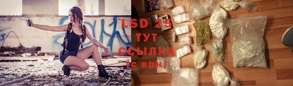 мескалин Богданович