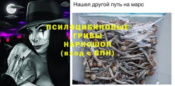 дмт Богородицк